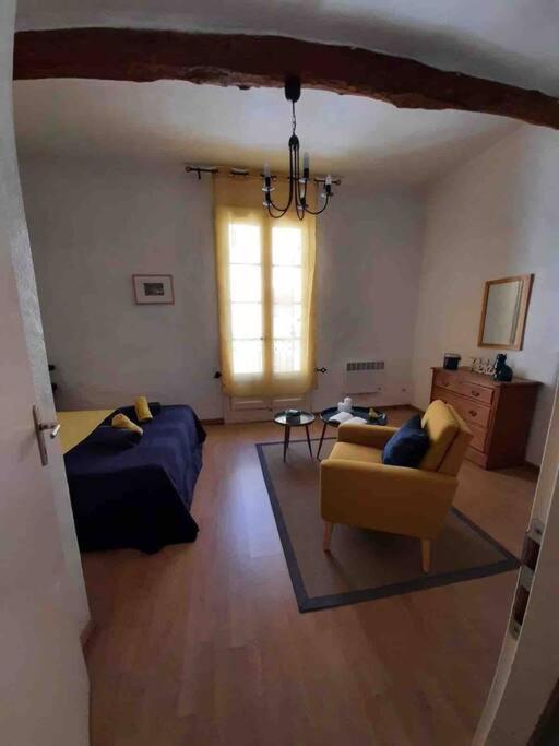 فيلا Historic French Townhouse Saint-Thibéry المظهر الخارجي الصورة